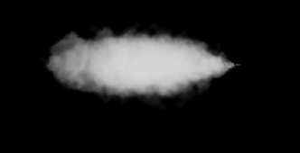 Steam leak FX