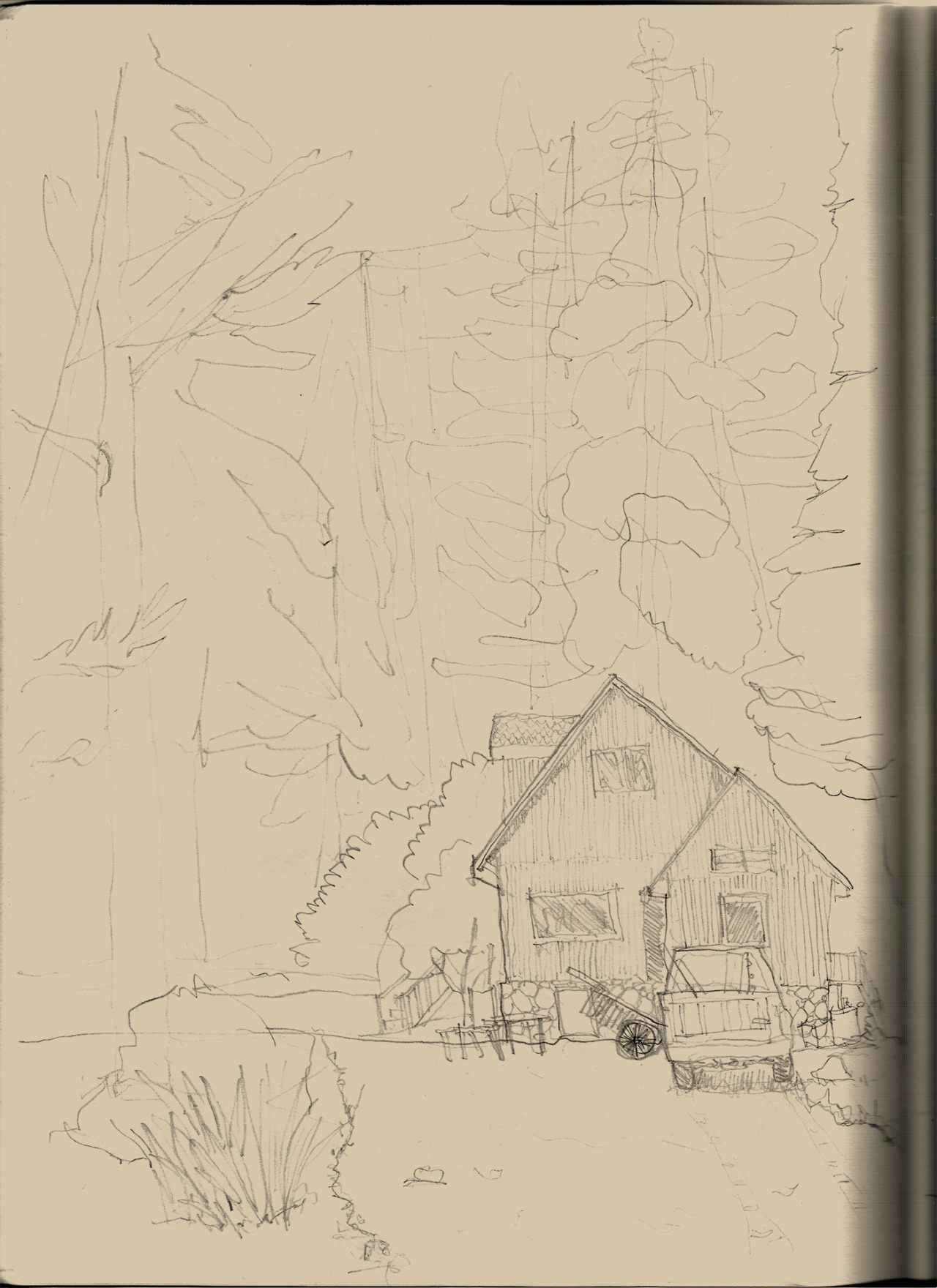 Freehad drawing